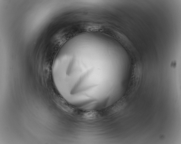 X0000113120761200909111139