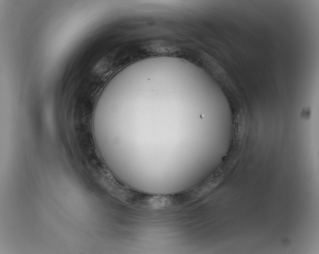 X0000113120762200909111139