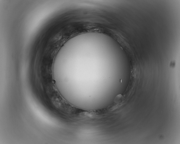 X0000113120763200909111139