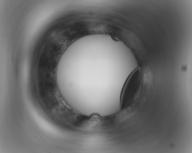 X0000113120764200909111139