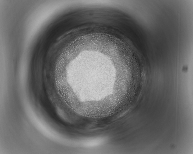 X0000113120765200909111139