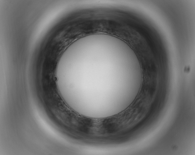 X0000113120766200909111139