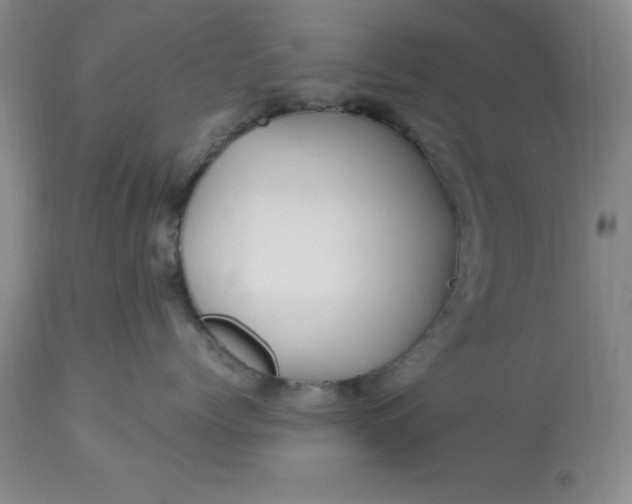 X0000113120768200909111139