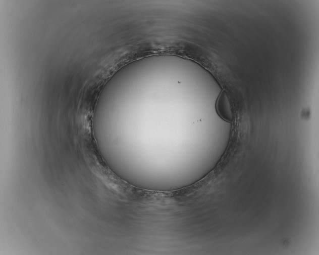 X0000113120770200909111139