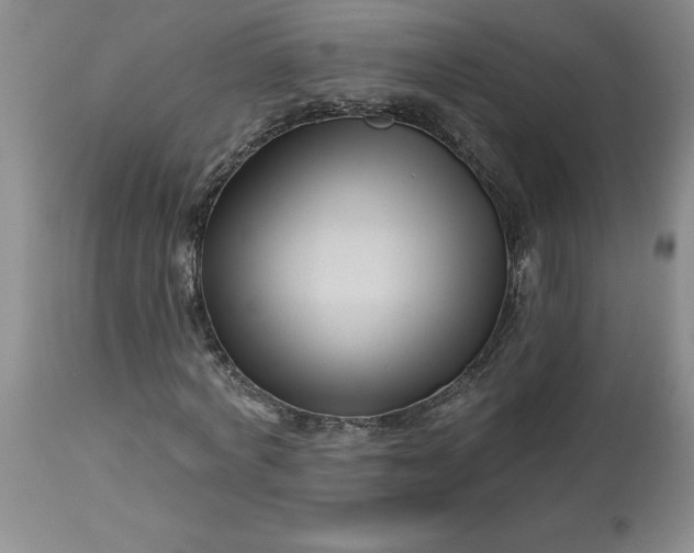 X0000113120772200909111139