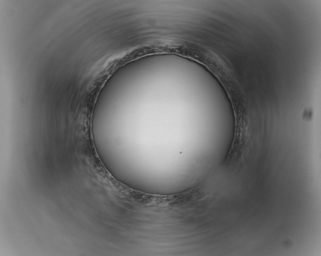 X0000113120773200909111139