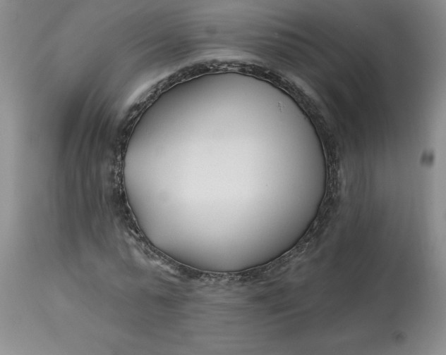 X0000113120775200909111139