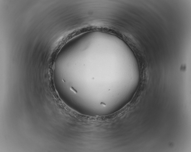 X0000113120776200909111138