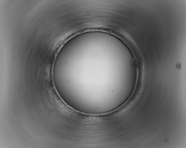 X0000113120777200909111138