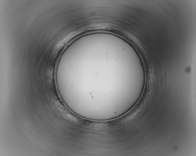 X0000113120778200909111138