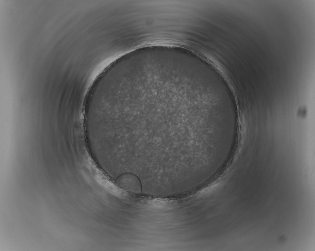 X0000113120779200909111138