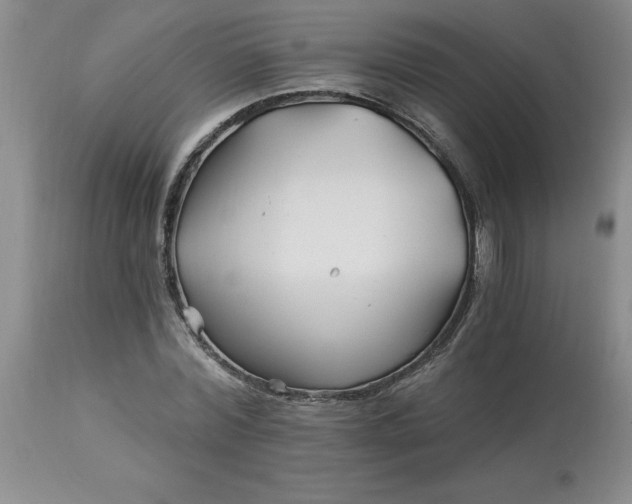 X0000113120780200909111138