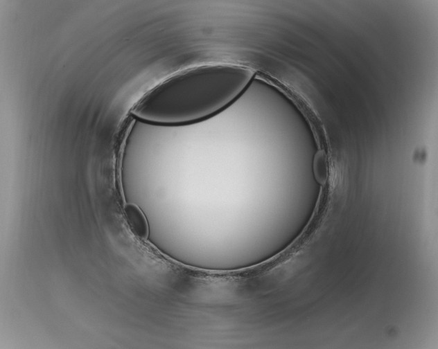 X0000113120781200909111138