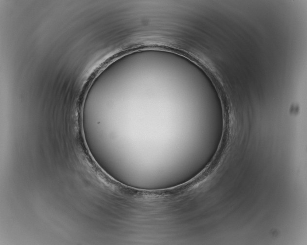 X0000113120782200909111138