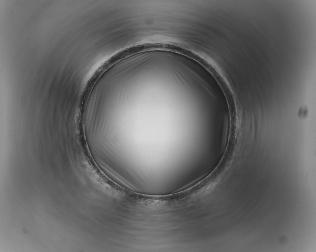 X0000113120783200909111138