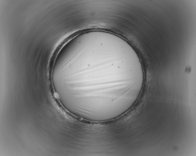 X0000113120784200909111138