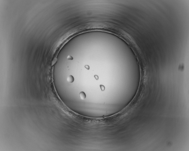 X0000113120786200909111138