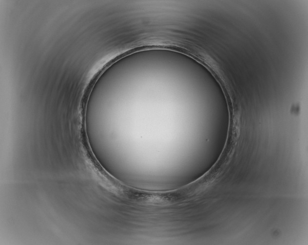 X0000113120787200909111138