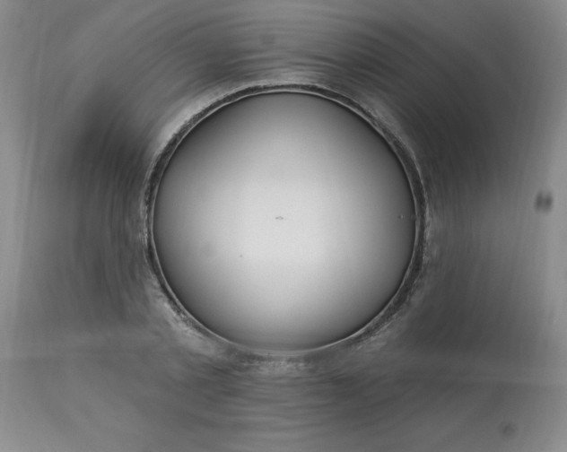 X0000113120789200909111138