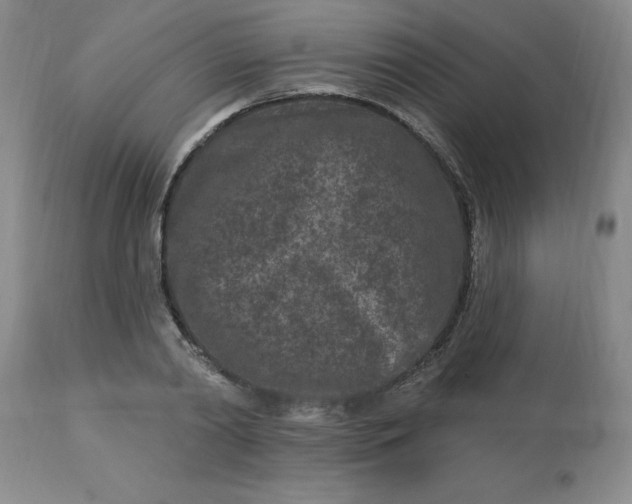 X0000113120790200909111138