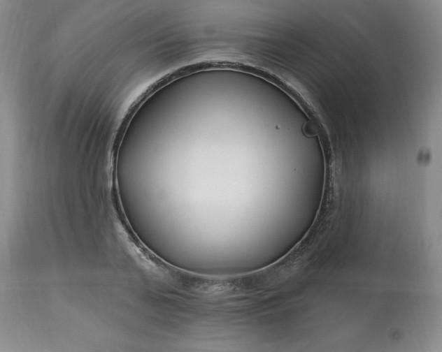 X0000113120791200909111138