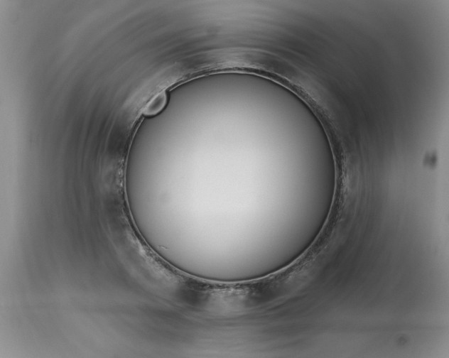 X0000113120793200909111138