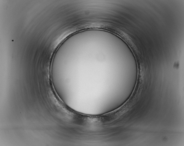 X0000113120794200909111138