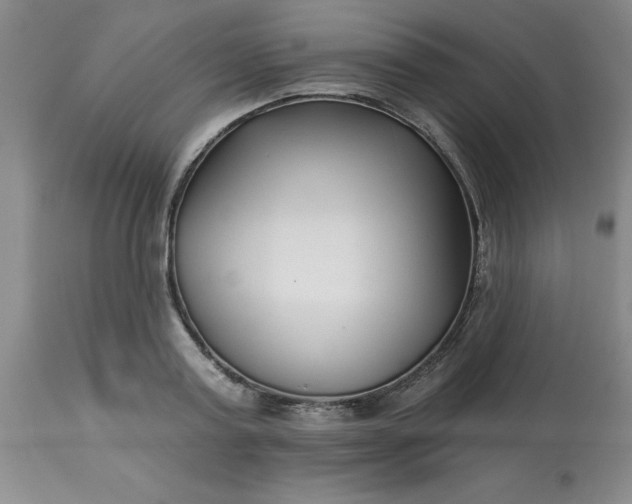 X0000113120795200909111138