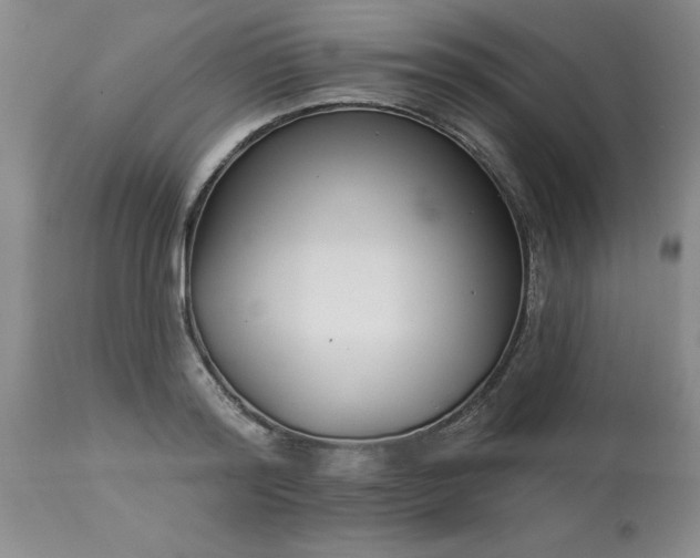 X0000113120796200909111138