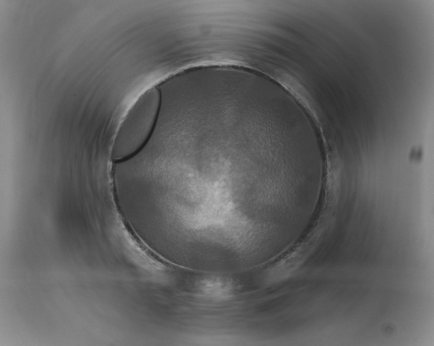 X0000113120797200909111138