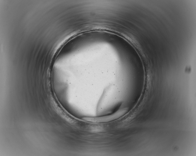 X0000113120798200909111138