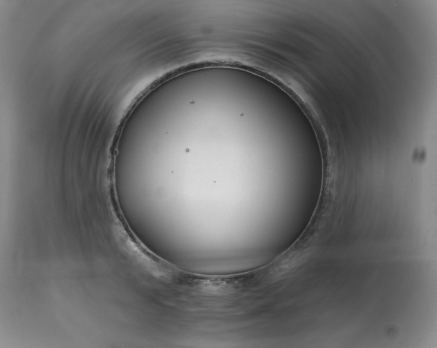 X0000113120799200909111138