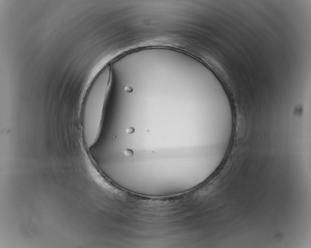 X0000113120800200909111138