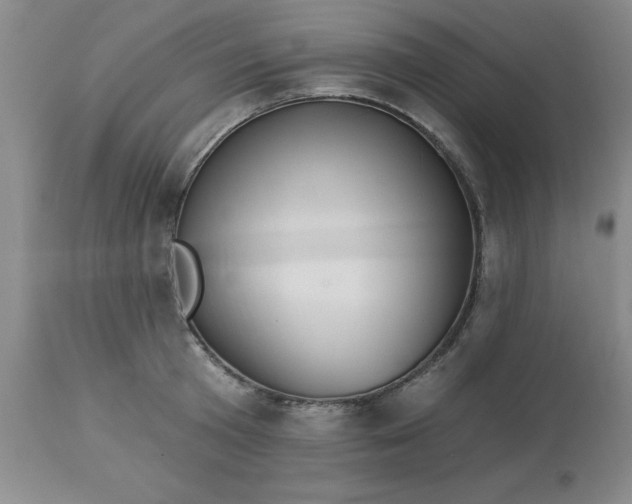 X0000113120801200909111138