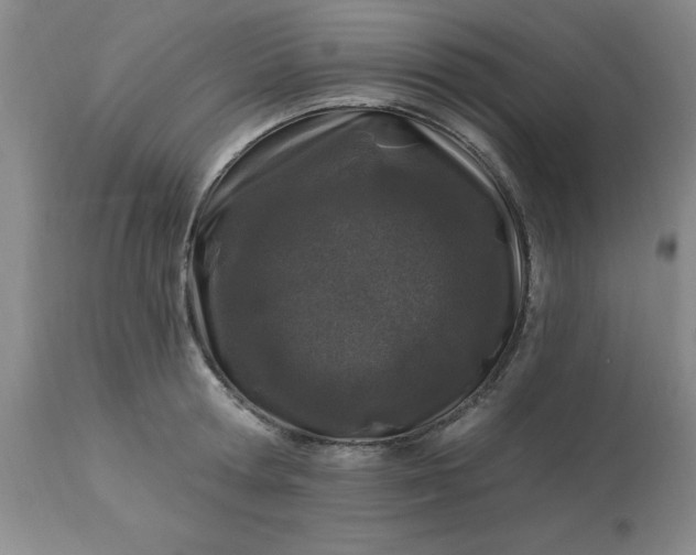 X0000113120802200909111138