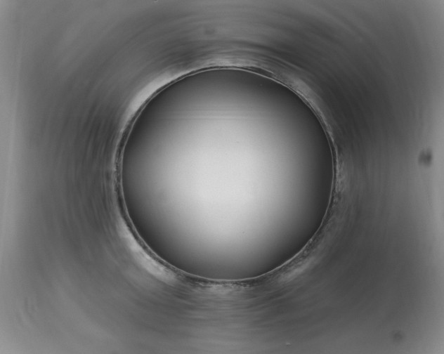 X0000113120803200909111138