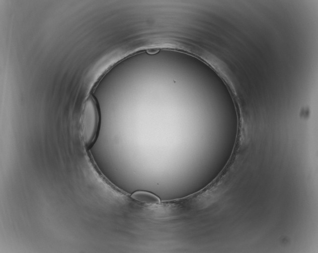 X0000113120805200909111138