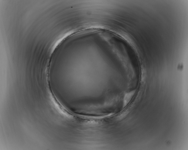 X0000113120806200909111138