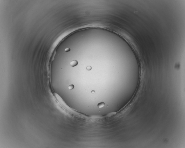 X0000113120808200909111138