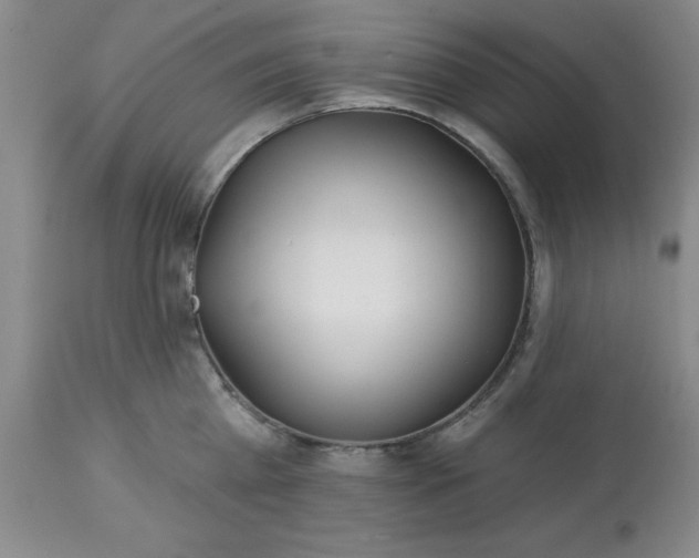 X0000113120809200909111138