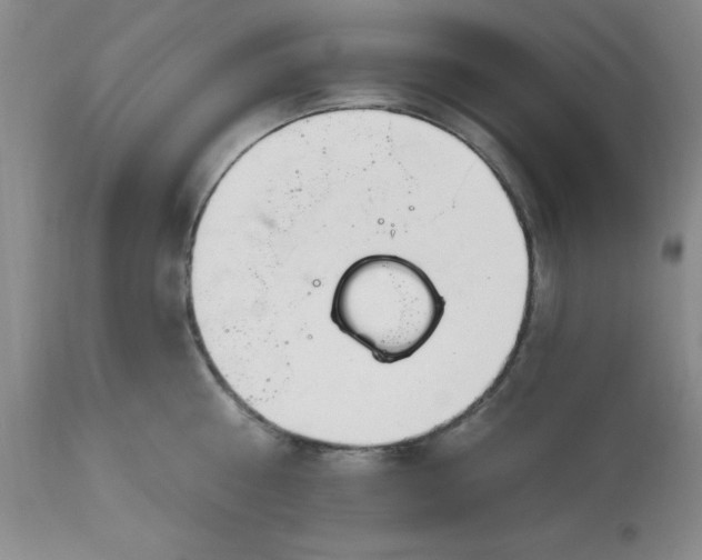 X0000113120810200909111138