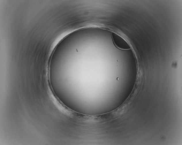 X0000113120811200909111138