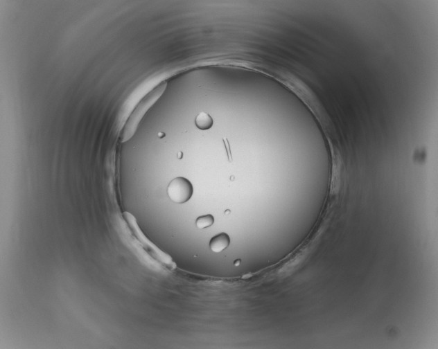 X0000113120812200909111138