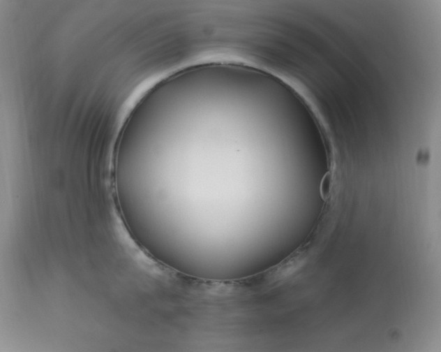 X0000113120815200909111138