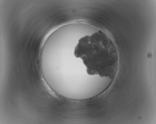 X0000113120816200909111138