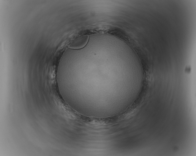 X0000113120818200909111137