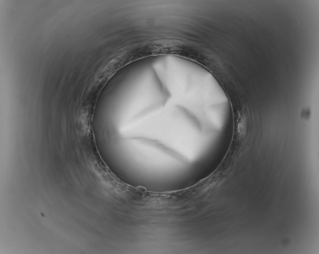 X0000113120819200909111137