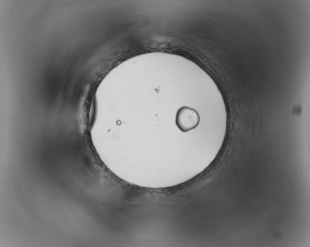 X0000113120820200909111137