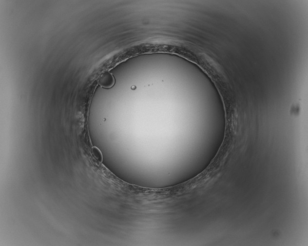 X0000113120821200909111137