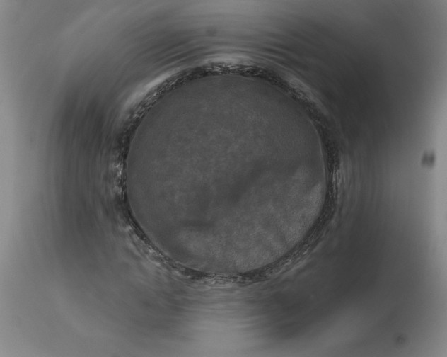 X0000113120822200909111137